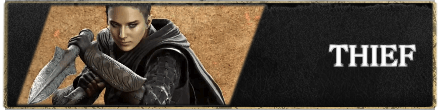 Dragons Dogma 2 - Thief Partial Banner
