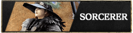 Dragons Dogma 2 - SORCERER Partial Banner