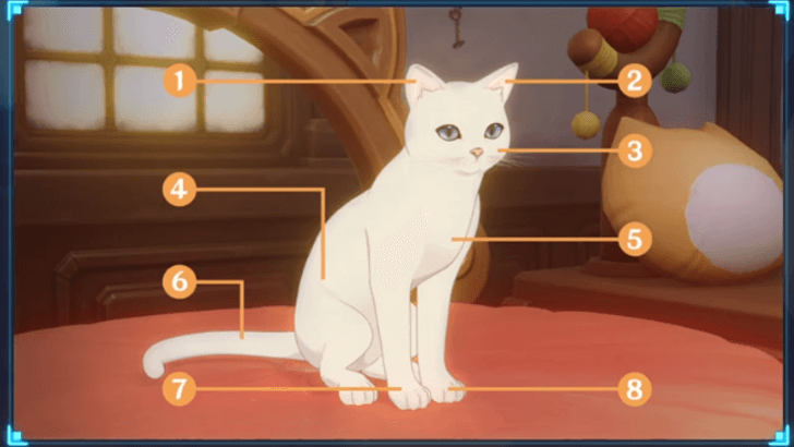 Genshin Impact - A Cat
