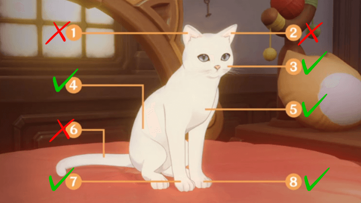 Genshin Impact - Snowball Spots