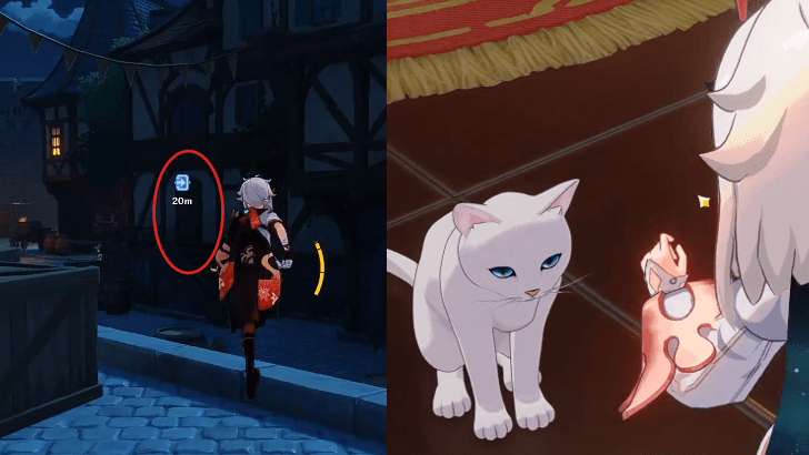 Genshin - Furball Fortress