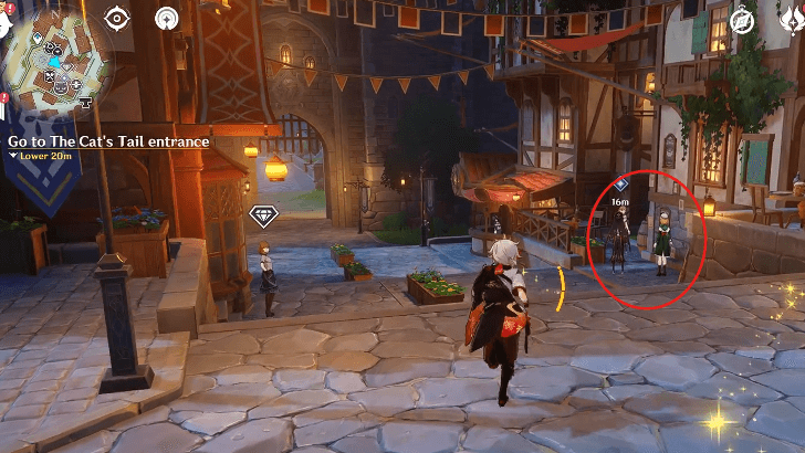 Genshin - Furball Fortress