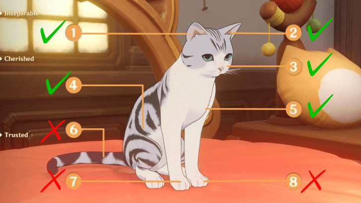 Genshin - Bunny Spots