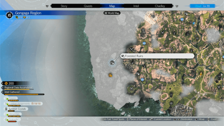 FF7 Rebirth - Forested Ruins