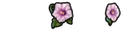 Flower Barrettes EX
 Icon