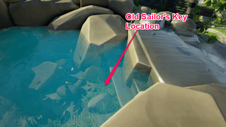 Sea of Thieves - Old Sailor