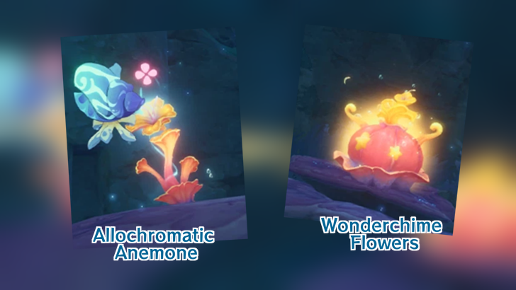 Genshin - Wondercime Flowers and Allochromatic Anemones Information