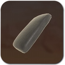 Sand Land - Shock-Absorbing Rubber