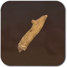 Sand Land - Plant Matter