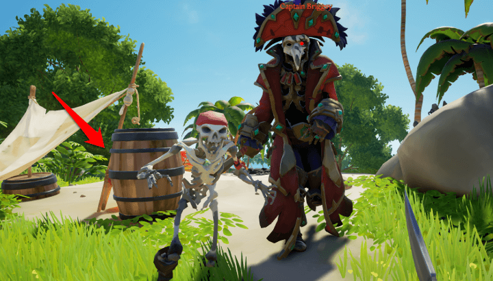 Sea of Thieves (SoT) - Captain Briggsy Crates and Barrel