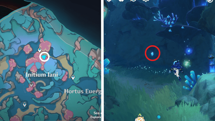 Genshin - 4.6 Hydroculus 238