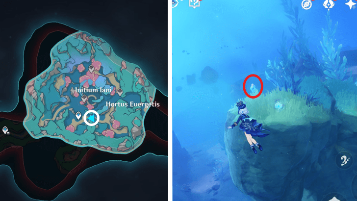 Genshin - 4.6 Hydroculus 242