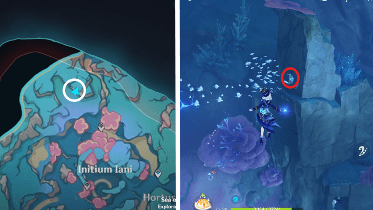 Genshin - 4.6 Hydroculus 234