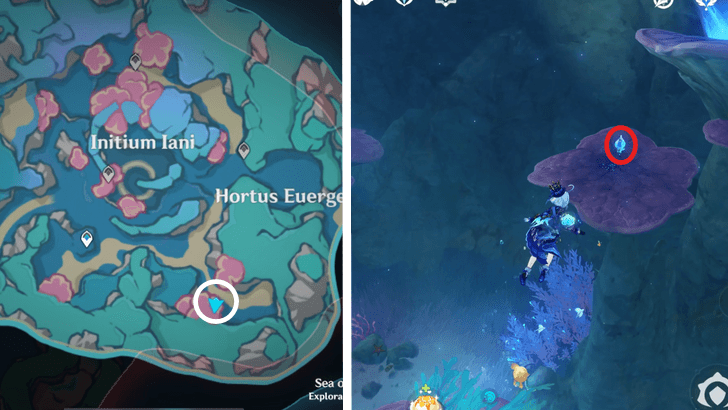 Genshin - 4.6 Hydroculus 244