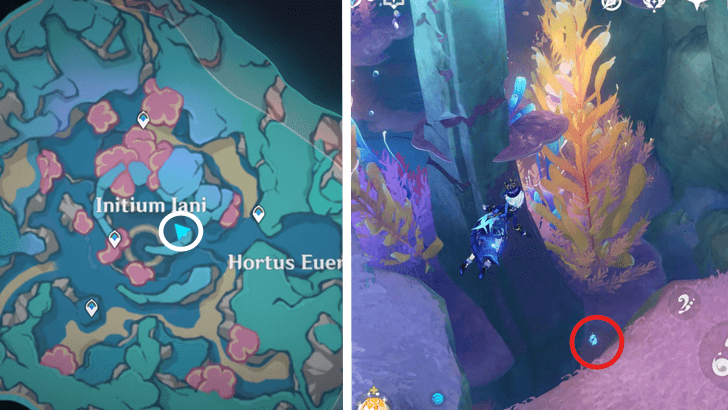 Genshin - 4.6 Hydroculus 240