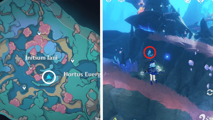 Genshin - 4.6 Hydroculus 241