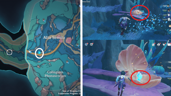 Genshin - 4.6 Hydroculus 248