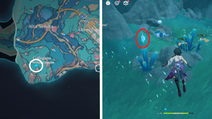 Genshin - 4.6 Hydroculus 250