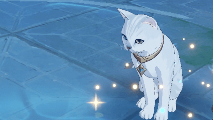 Genshin Impact The Shadow Over Petrichor Walkthrough - Talk to the talking cat