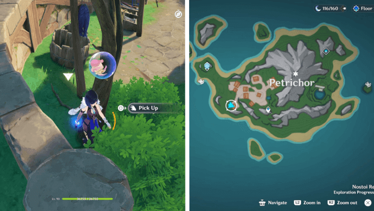 Genshin Impact - A Ridiculously Common Branch 2