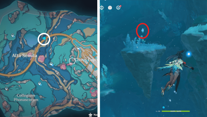 Genshin - 4.6 Hydroculus 258