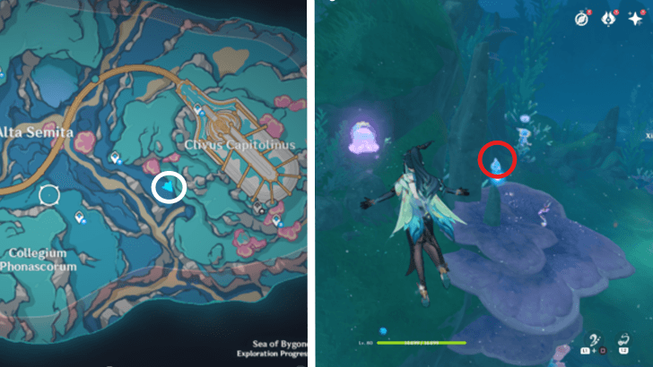 Genshin - 4.6 Hydroculus 264