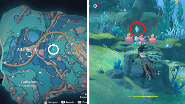 Genshin - 4.6 Hydroculus 262