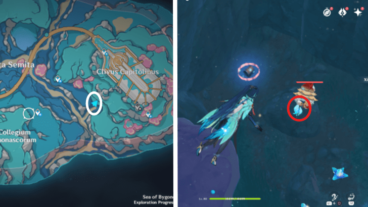 Genshin - 4.6 Hydroculus 265