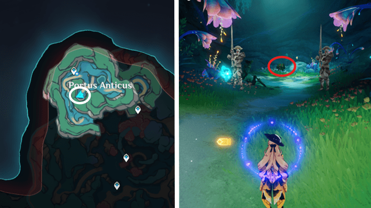 Genshin - Fontaine Remarkable Chest 65