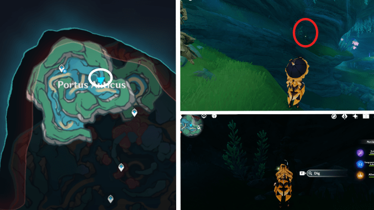 Genshin - Fontaine Remarkable Chest 66