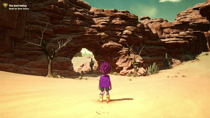 SAND LAND - Local Flora