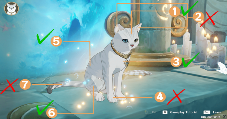 Genshin - Monsieur Os Pet Spots