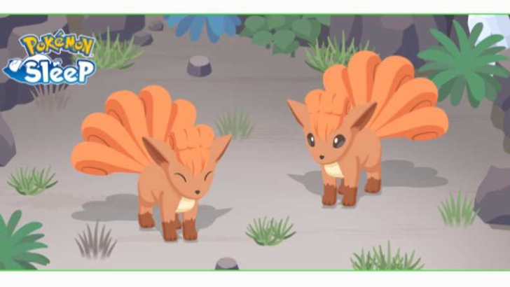 Pokemon Sleep - Vulpix