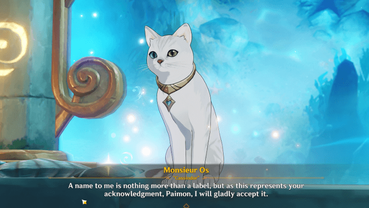 Genshin Impact Cassiodor Story and Profile - Turned Into Monsieur Os.png