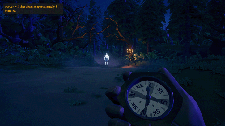 Sea of Thieves - Forest Entrance