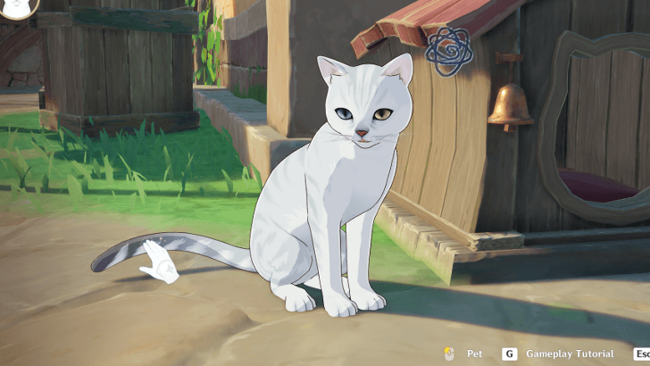 Genshin - Monsieur Os Pet Spots