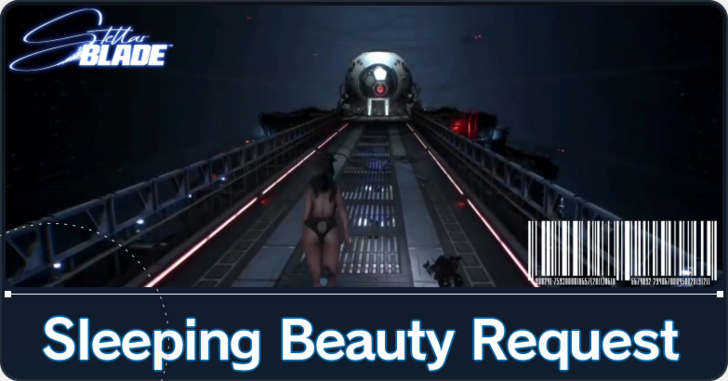 Sleeping Beauty Request