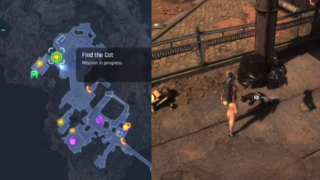 Find the Cat - Objective 1