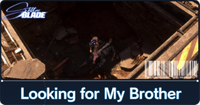 Looking for My Brother Guide