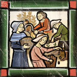 Manor Lords - Survive The First Year Achievement Icon