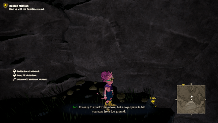 Poisonous(?) Mushroom