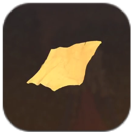 Sand Land - Pale Pterano Wing