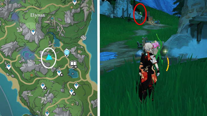 Genshin - Rainbow Rose 24-25