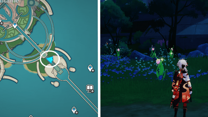 Genshin - Rainbow Rose 31-34