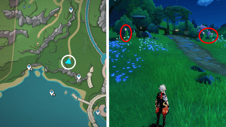 Genshin - Rainbow Rose 40-42