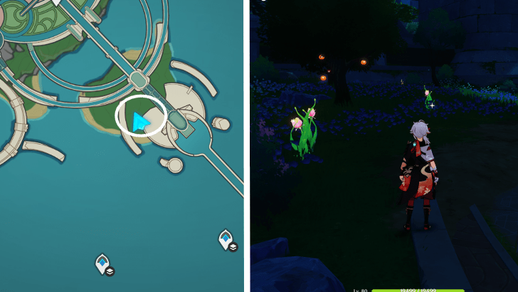 Genshin - Rainbow Rose 28-30