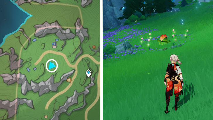 Genshin - Rainbow Rose 50-55