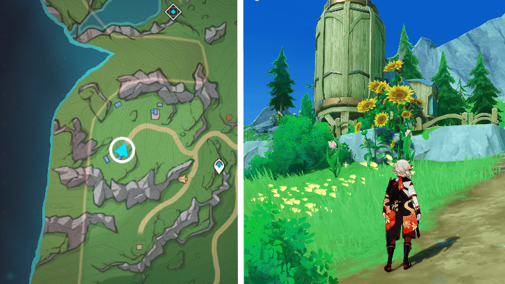 Genshin - Rainbow Rose 58-59