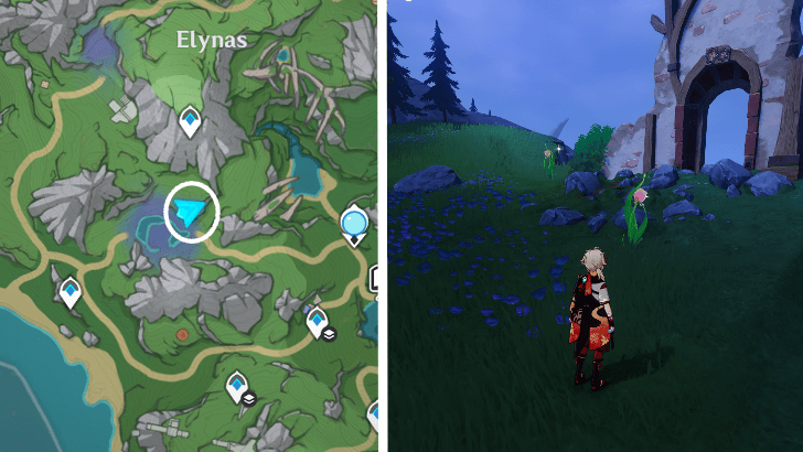 Genshin - Rainbow Rose 26-27