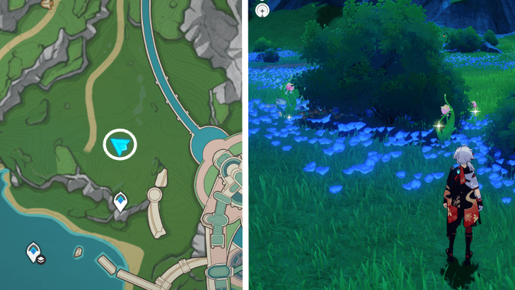 Genshin - Rainbow Rose 37-39